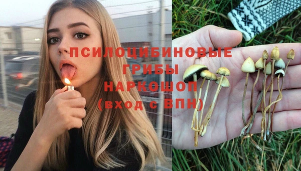 дурь Аркадак