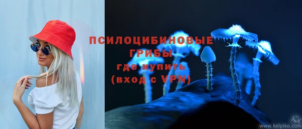 первитин Арсеньев