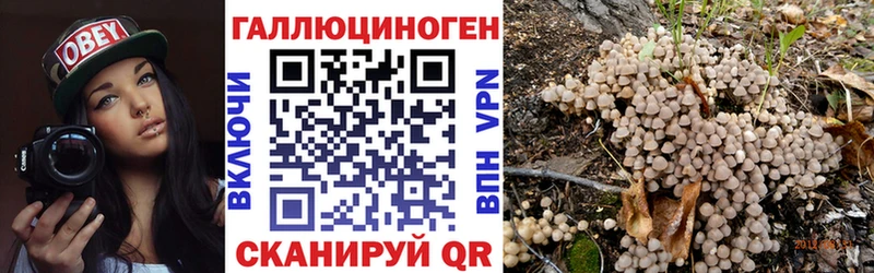 магазин продажи наркотиков  kraken сайт  Галлюциногенные грибы Psilocybe  Оханск 